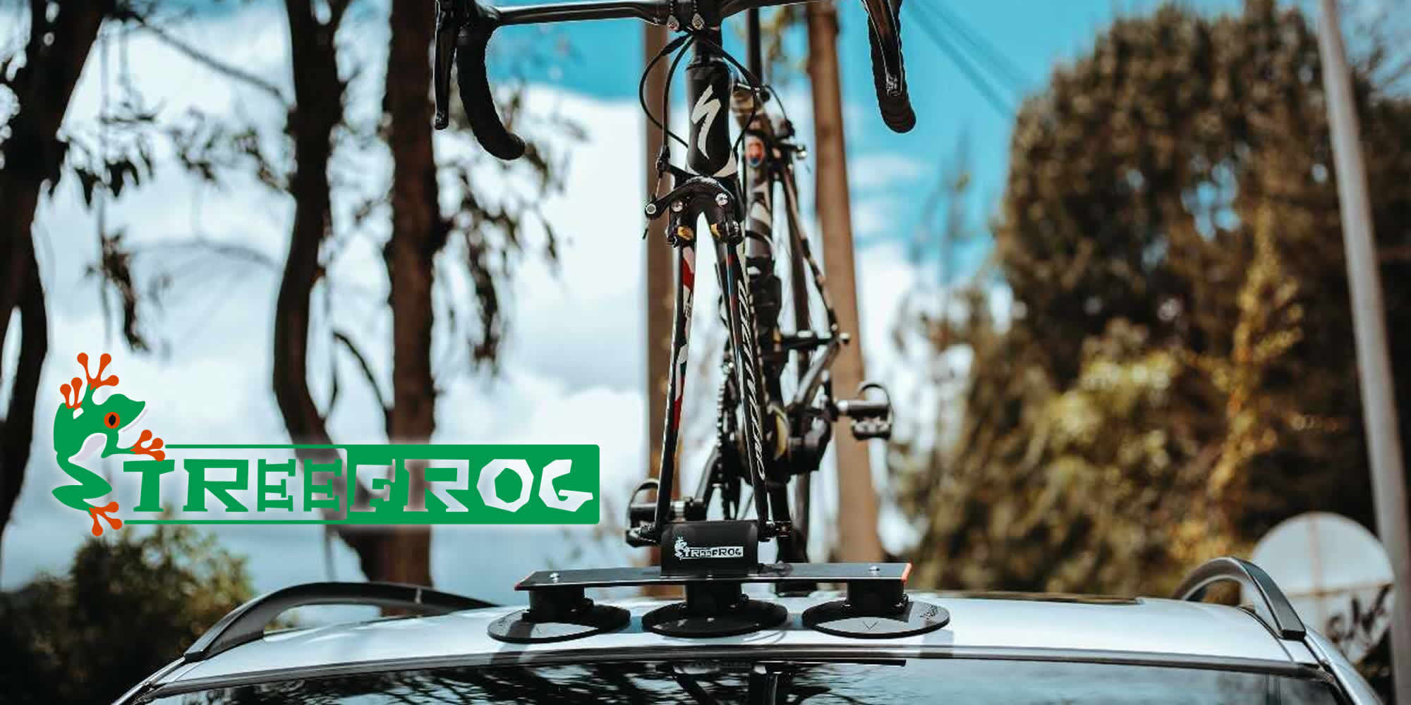 TreeFrog